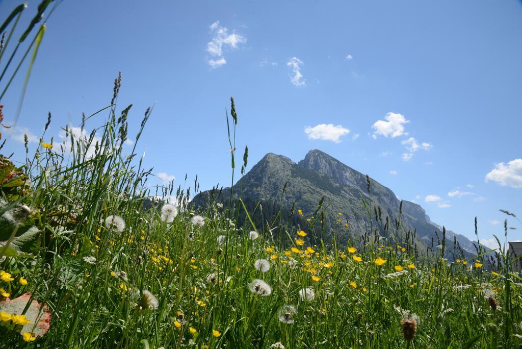 Der Alpenblick Hotel Sankt Johann im Pongau Exterior foto